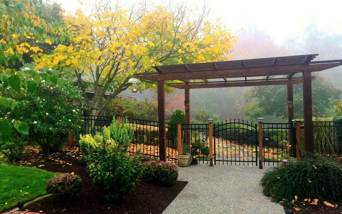 Classic Pergolas Are Getting Updated