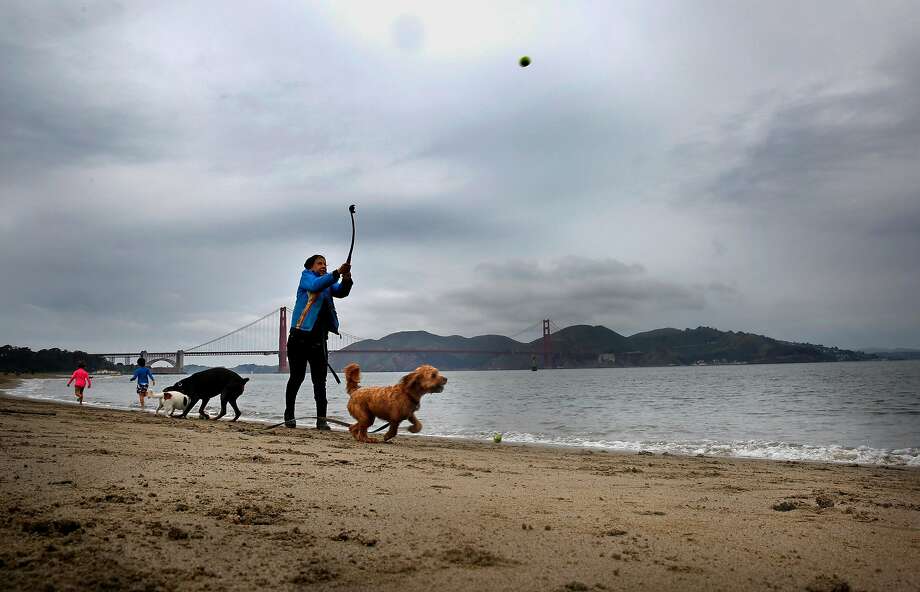 Cold Front Delivers Chilly Air And Blustery Conditions To Bay Area Connecticut Post,Mei Tachibana Aesthetic