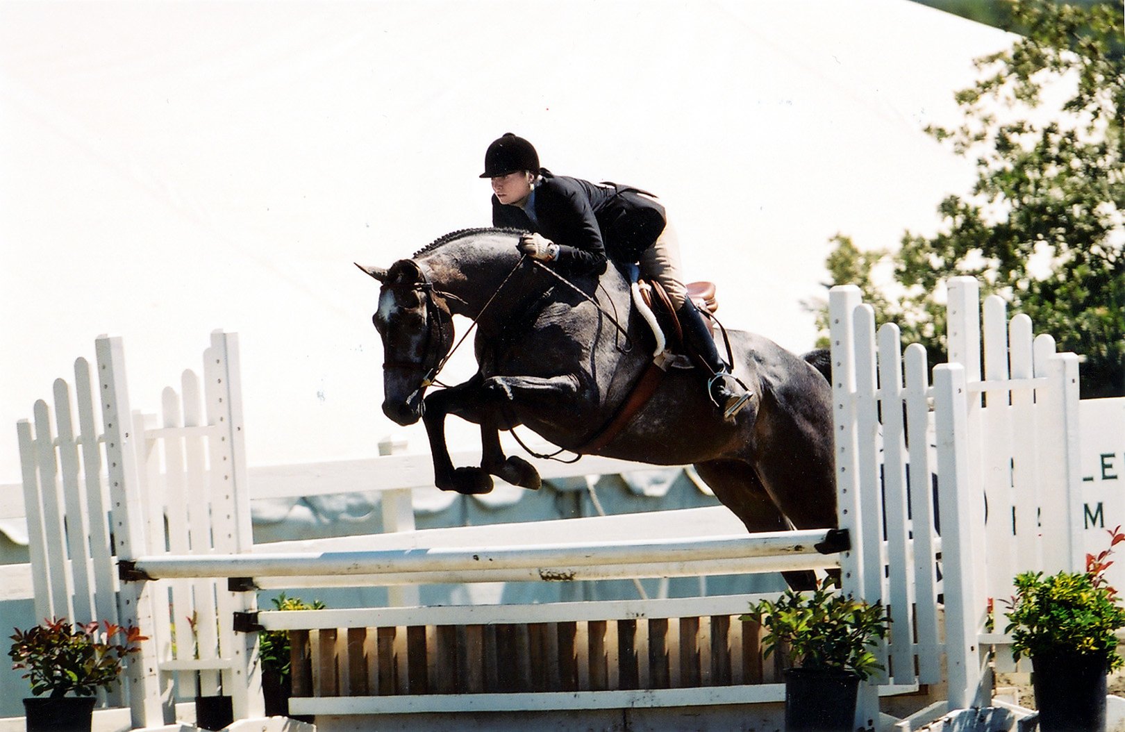 Bay Area horse training owner underpaid migrant workers and housed them