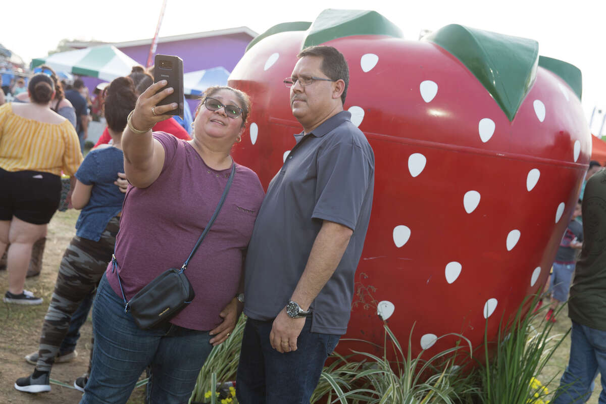 iubitorii de căpșuni au condus la centura arteziană pentru a sărbători fructele la Festivalul Poteet Strawberry sâmbătă, 6 aprilie 2019.