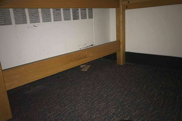 Roommates Wanted For Uc Berkeley Dorm Must Be Cool With Mice