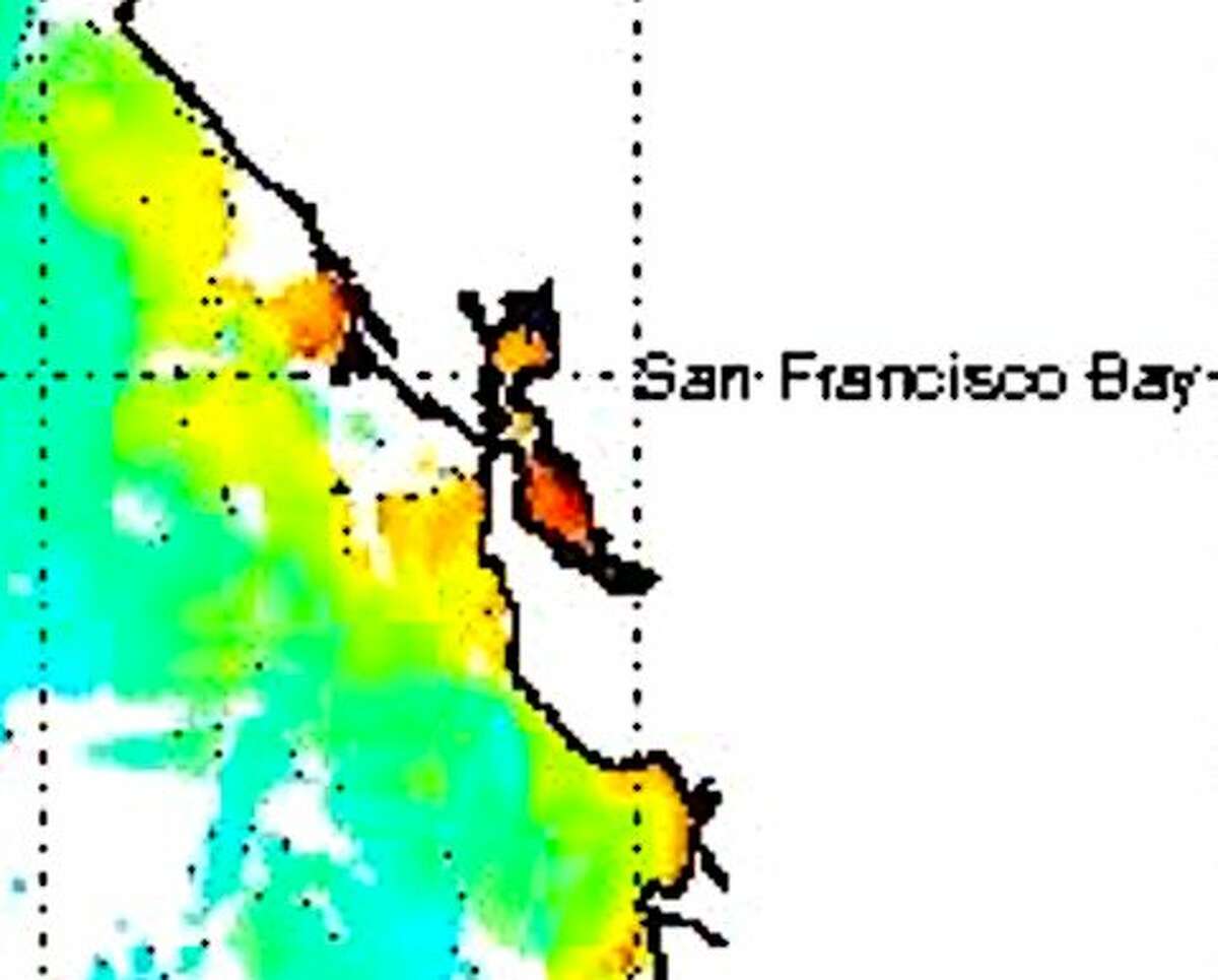 On the eve of the opening of salmon season, a color-coded satellite image shows high levels of chlorophyll from phytoplankton in the ocean this week offshore the San Mateo County coast, and likely the best spot for salmon fishing.