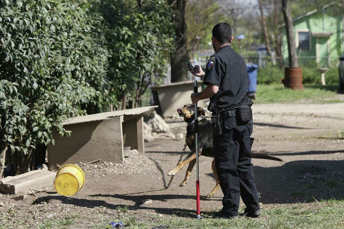 San Antonio’s animal care officers fix fences and adjust attitudes as