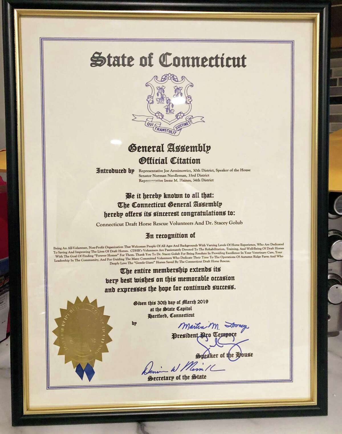 Ct Legislature Recognizes East Hampton Equine Rescue Group