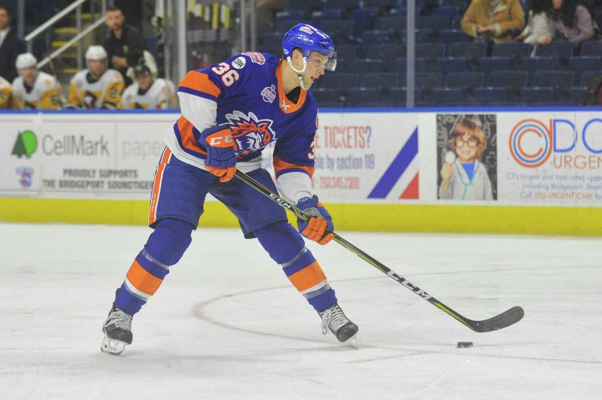 Jeff Kubiak has been a mainstay for the Sound Tigers this season.