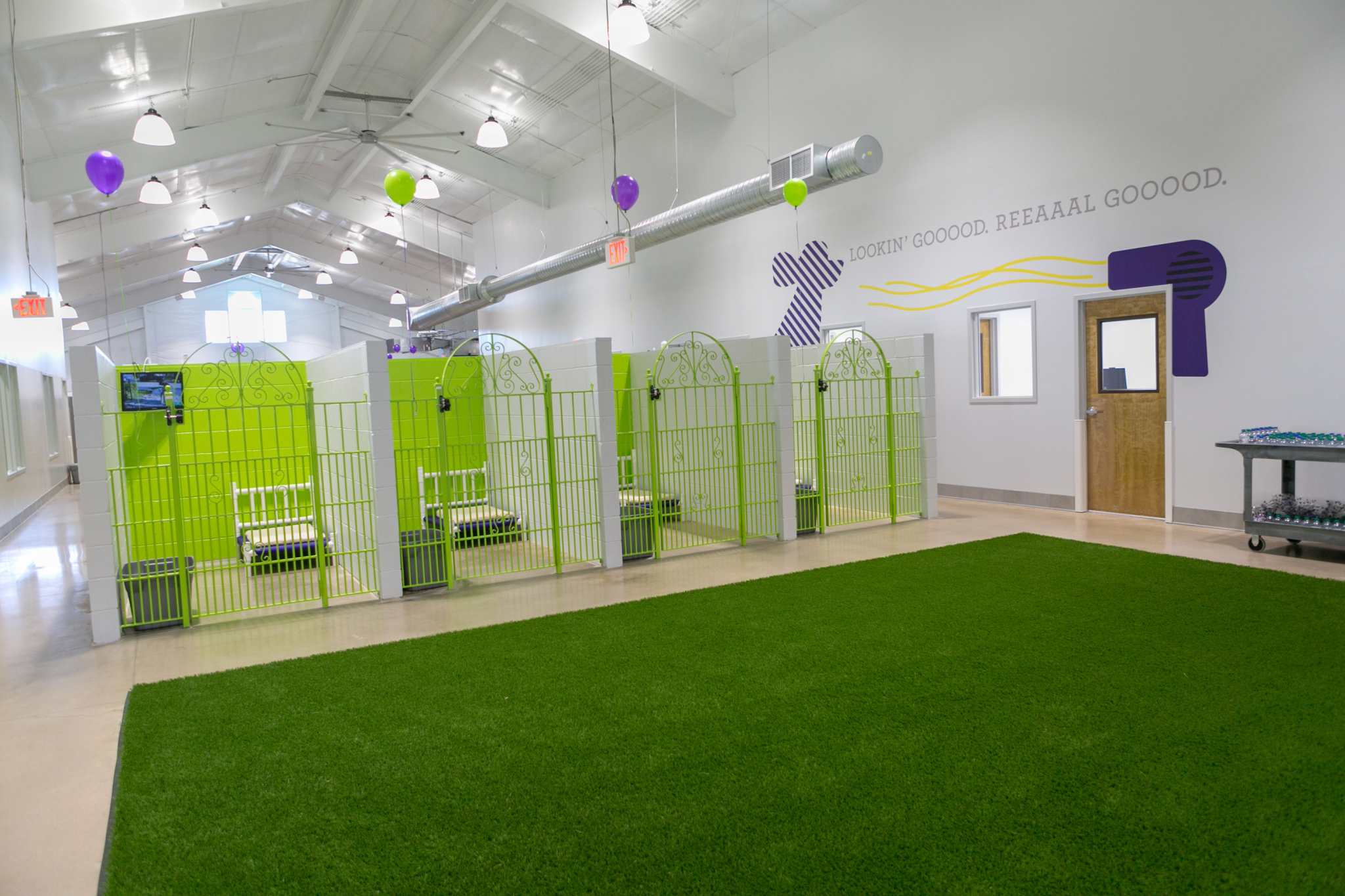 Petsuites Of America To Offer Cat Cuddling And More At Missouri