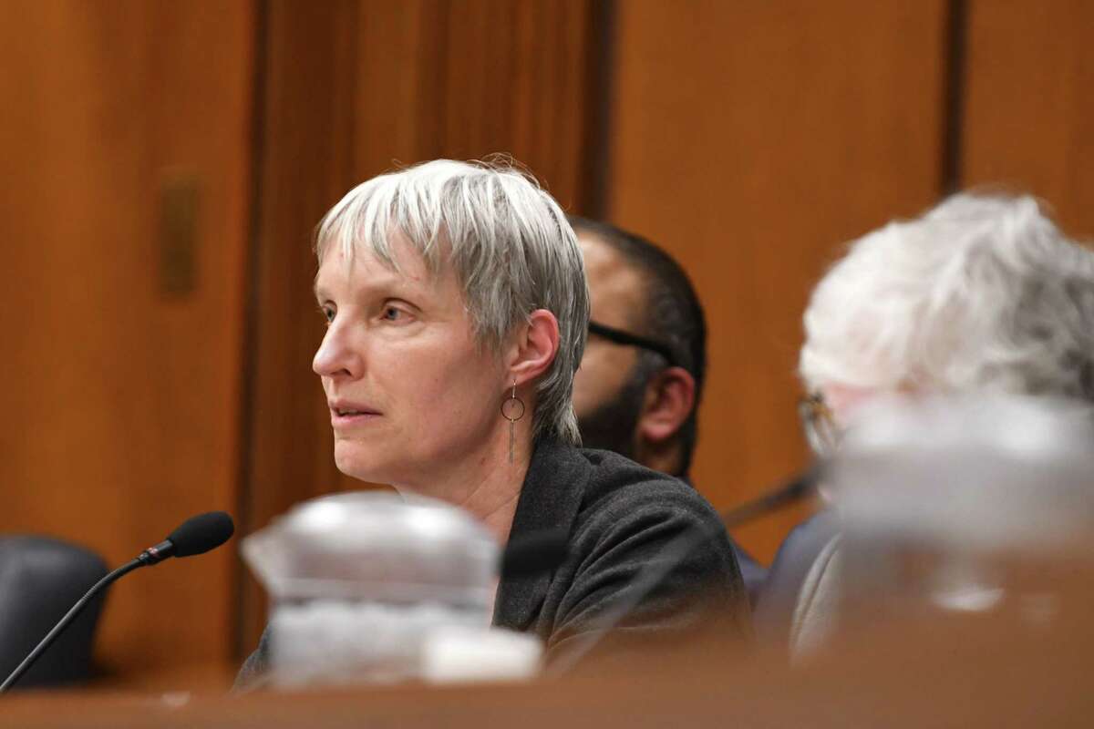 Sen. Rachel May questions school administrators during a Senate hearing on the oversight of for-profit colleges and schools on Wednesday, April 10, 2019, at the Legislative Office Building in Albany, N.Y. (Will Waldron/Times Union)