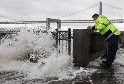Open Forum San Francisco Should Look To Nature To Respond