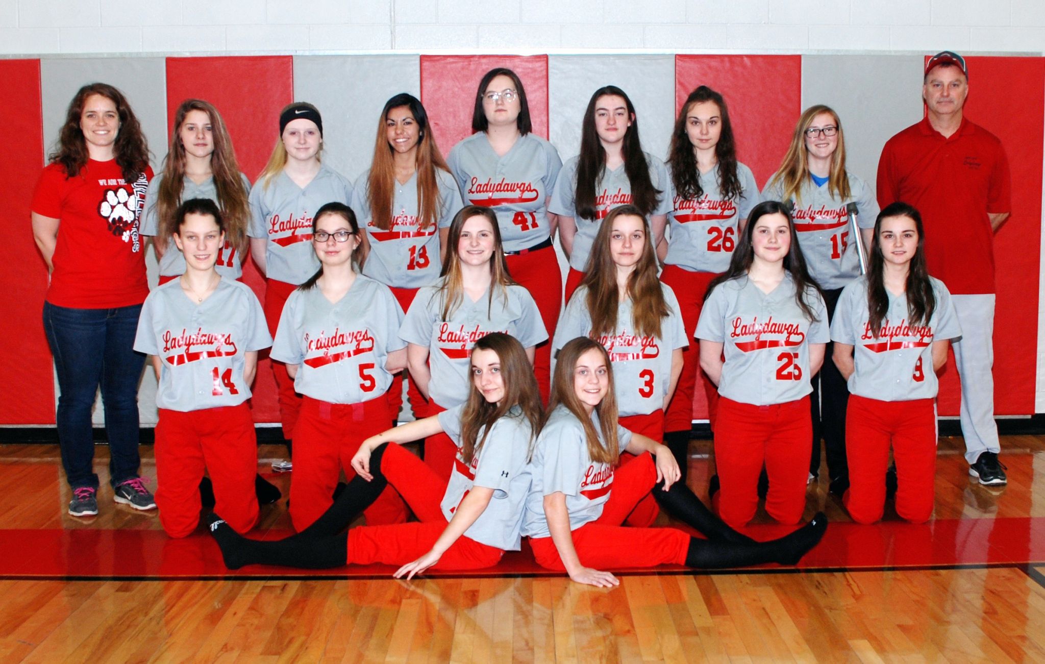 Spring Sports Teams 2019 Huron Daily Tribune