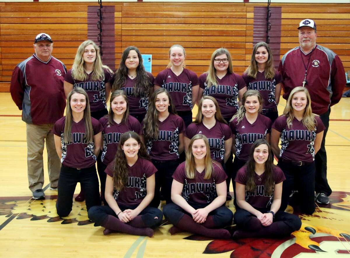 Cass City Softball Overview