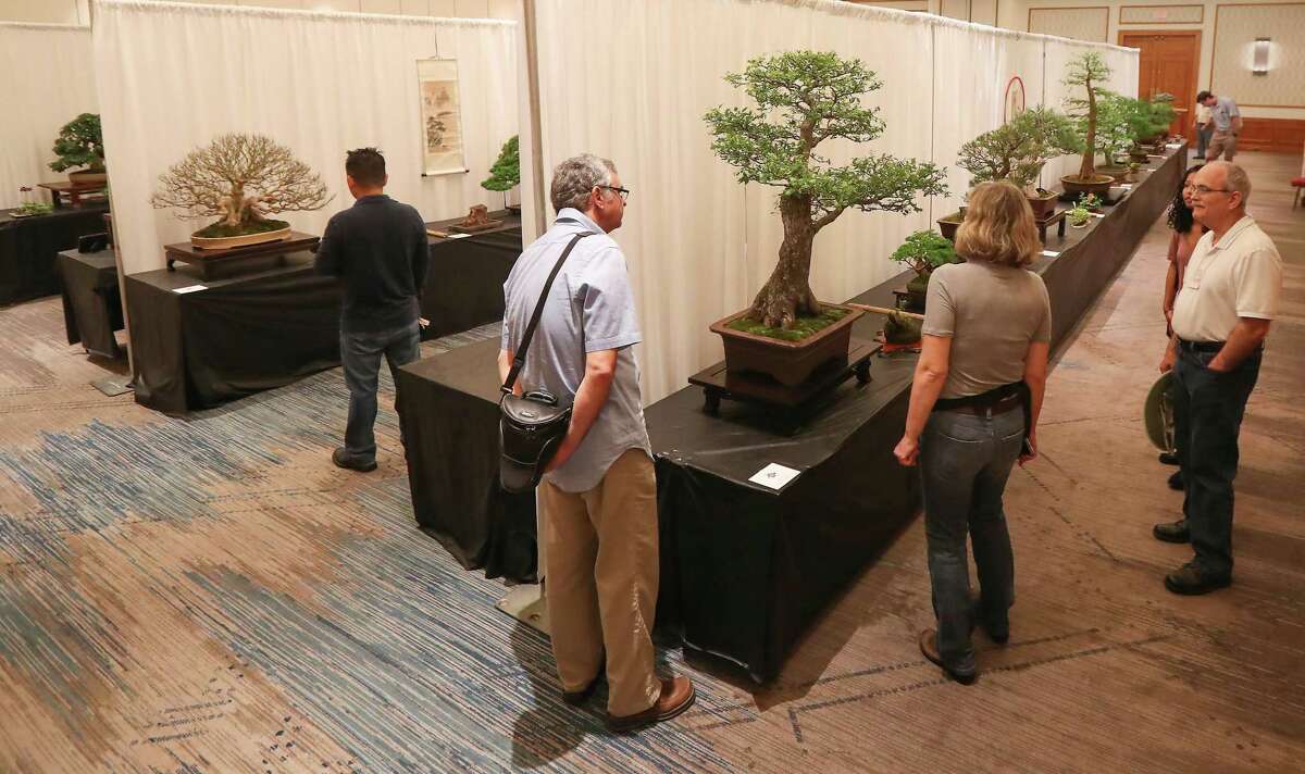 Visitors admire Bonsais in the exhibit hall during the American Bonsai Society Convention 2019 hosted by the Houston Bonsai Society & The Lone Star Bonsai Federation Saturday, April 13, 2019, in Houston.