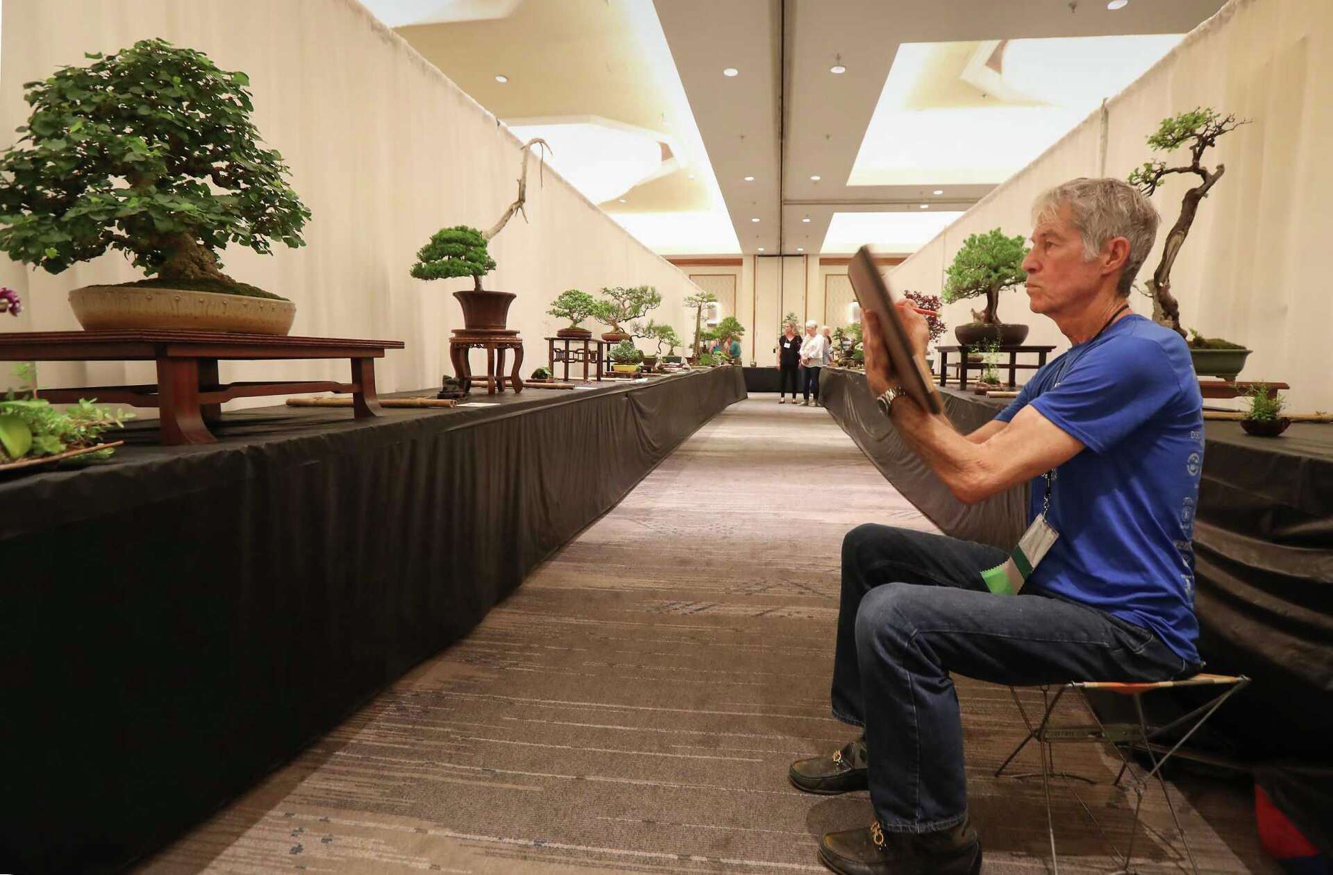 Bonsai on the Bayou lets visitors appreciate 'living art'