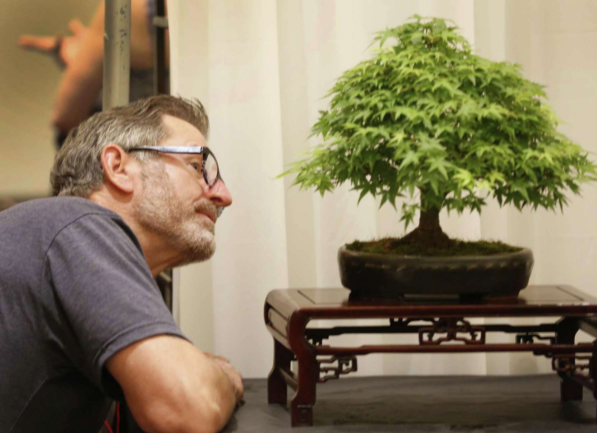 Bonsai on the Bayou lets visitors appreciate 'living art'