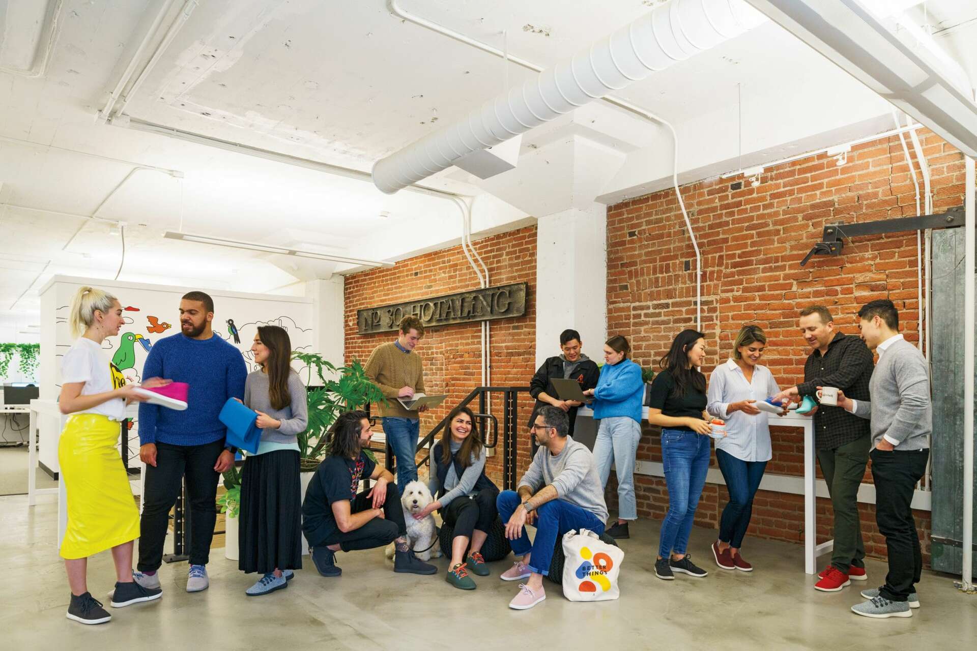 Allbirds headquarters address sale