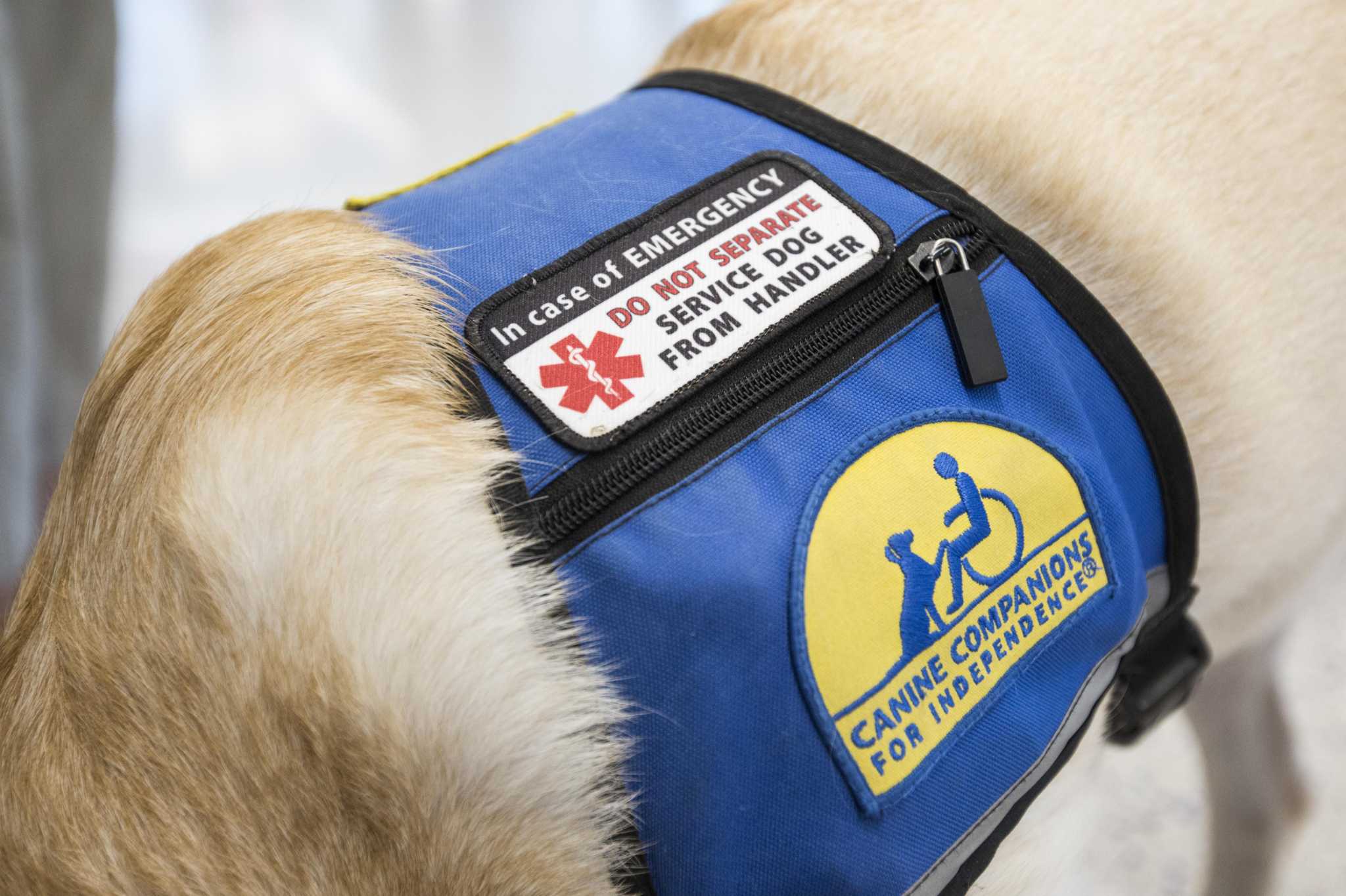 East Haddam grocery store to allow service animals under ADA settlement