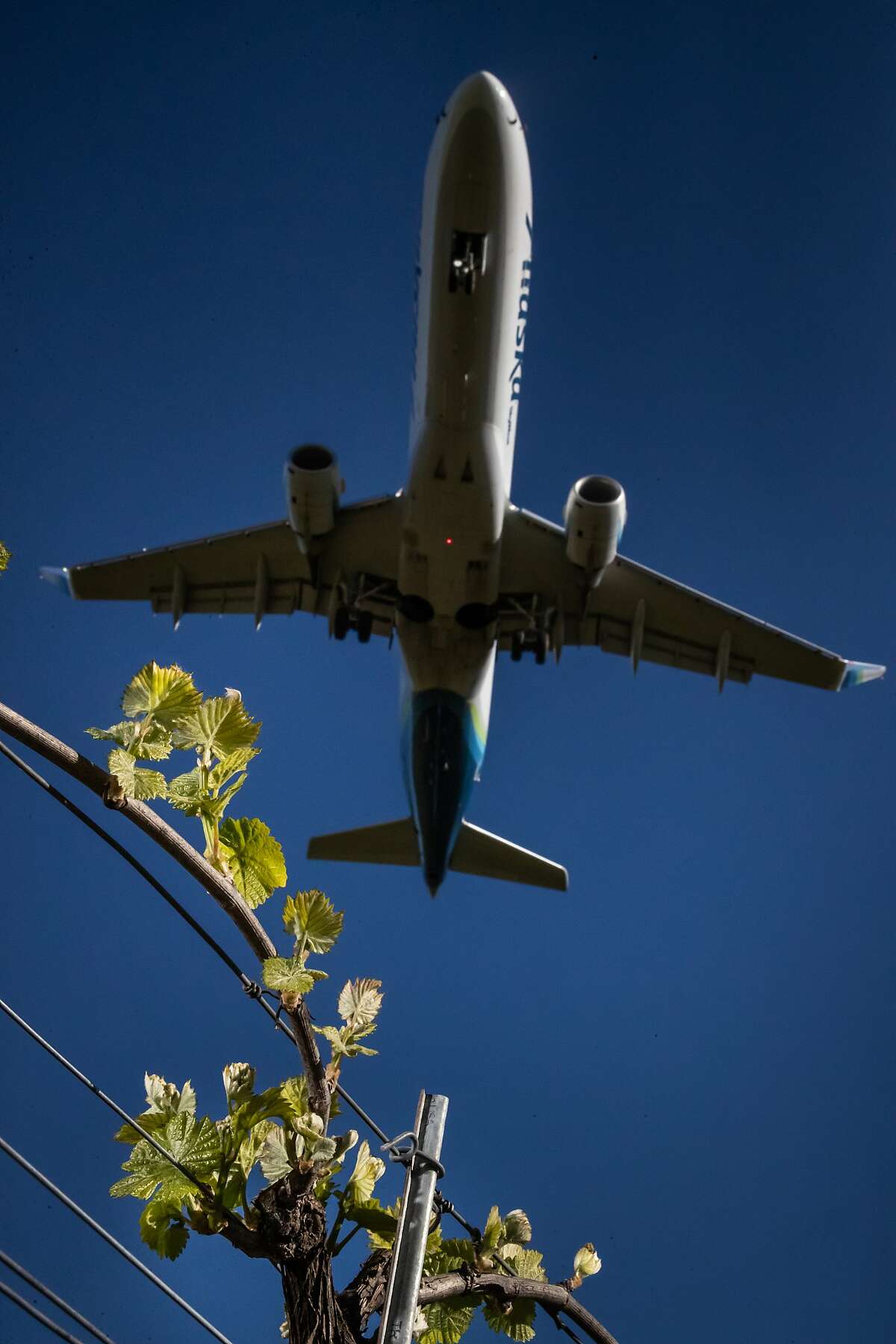 Fly to Wine Country? Sonoma airport growth takes off