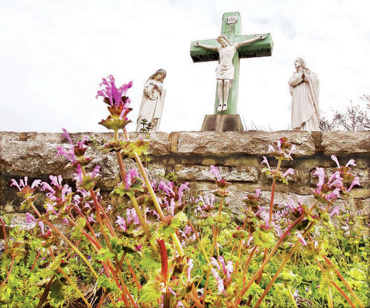 A patch of henbit dead-nettle flowers, sprung up in front of the statue of Jesus on the cross Monday in Alton’s St. Joseph Cemetery as Christians worldwide celebrate the Holy Week that leads up to Easter. The week includes Palm Sunday which just passed, Holy Wednesday, Maundy Thursday, Good Friday and Holy Saturday and it is also the last week of Lent. Maundy Thursday commemorates the Last Supper and Good Friday is the day Christians believe the crucifixion and death of Jesus occurred. Good Friday is traditionally a day of fasting and penance in the Christian Church.