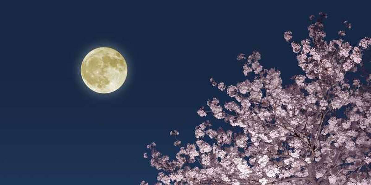 April's Pink Moon will illuminate the sky on Good Friday this year
