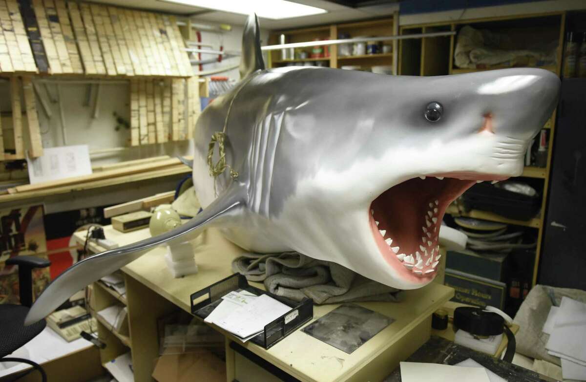 A life-size 11-foot female great white shark model is part of the new "Sharks!" exhibit at the Bruce Museum in Greenwich. The show, opening April 20, will feature a live look at sharks developing in eggs, life-size models of sharks, and more than 20 species of shark jaws and teeth on display.