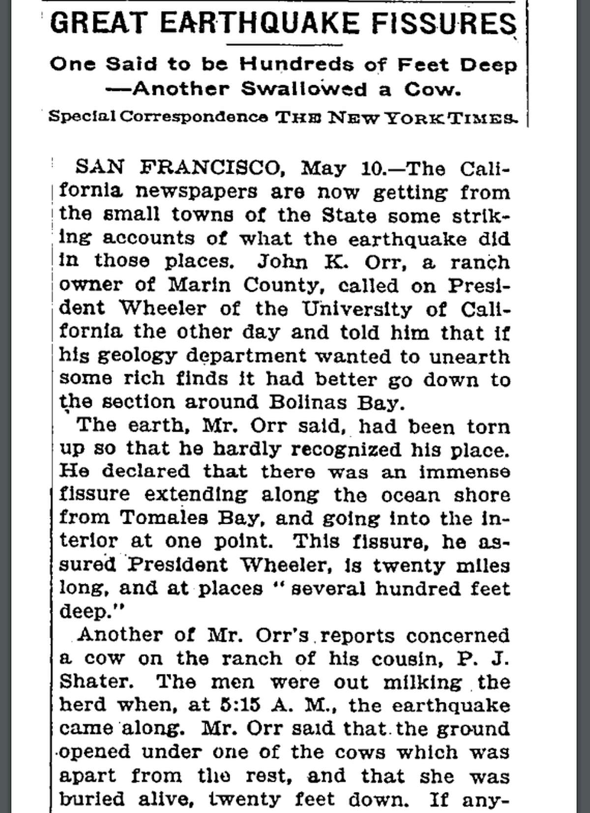 A May 10, 1906, New York Times dispatch from San Francisco describing damage from the devastating April 18 earthquake mentions a fissure "hundreds of feed deep" and another that swallowed cow.