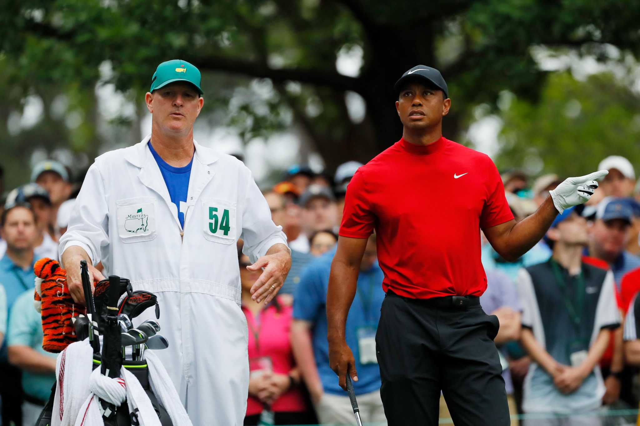 tiger woods fred shirt