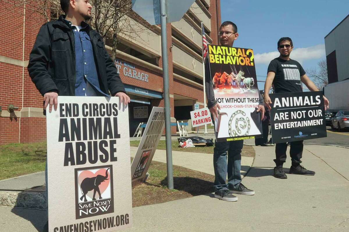 Anti-animal circus demonstrations planned for Danbury - CTInsider.com