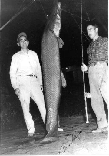 Tale Of Record Catch Tops Any Texas Fish Story Expressnews Com