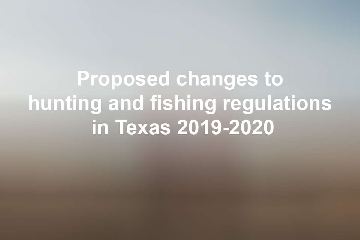 Click through the slideshow to see the proposed regulations for saltwater fishing, freshwater fishing and hunting for 2019-2020.
