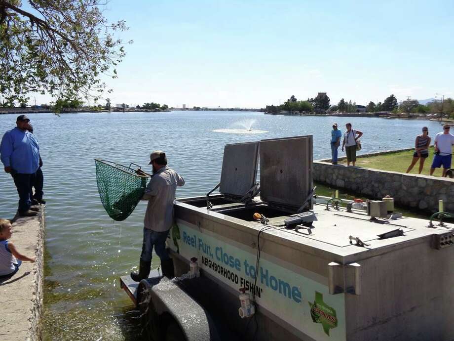Catfish stocking returns to Peckham Park Houston Chronicle