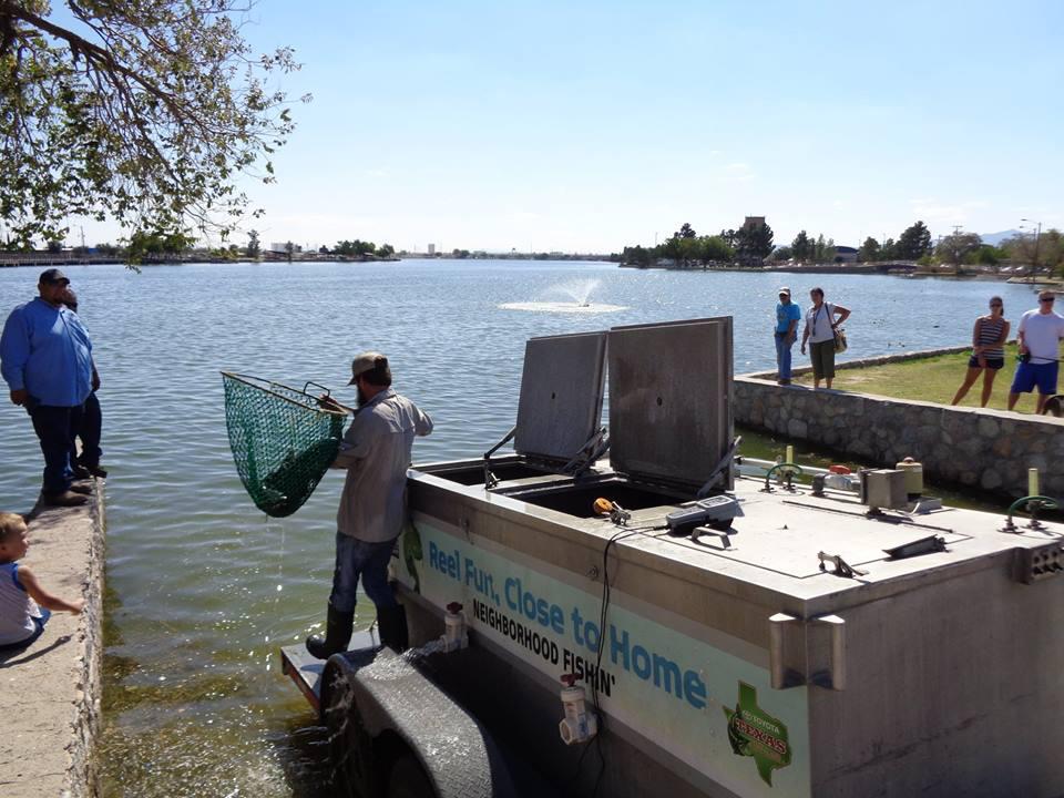 Texas winter tradition returns with rainbow trout stocking