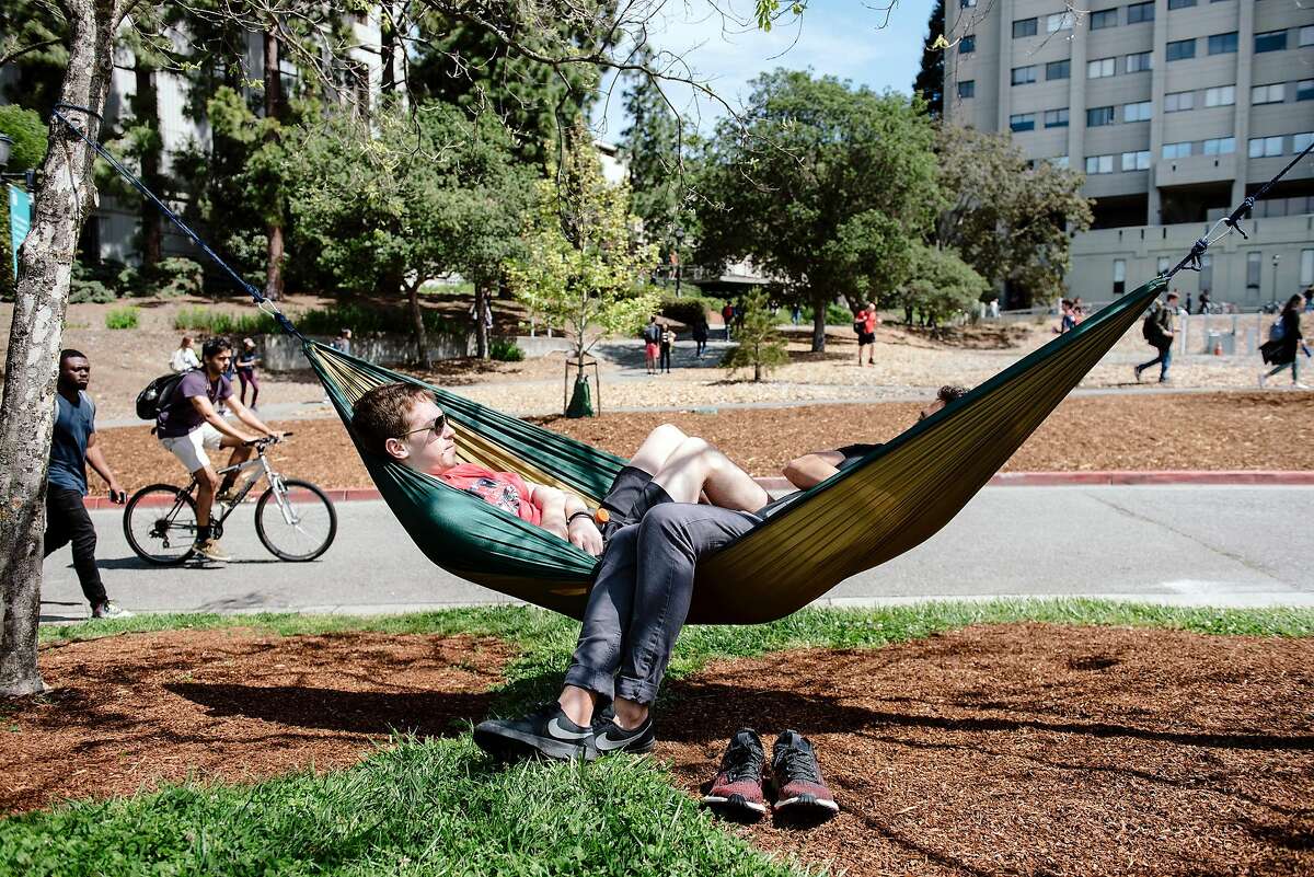 UC Berkeley civil engineering masters students Homero De Toledo, left, and Mauricio Clark relax in a hammock on the Cal campus in Berkeley, Calif, on Friday, April 19, 2019.