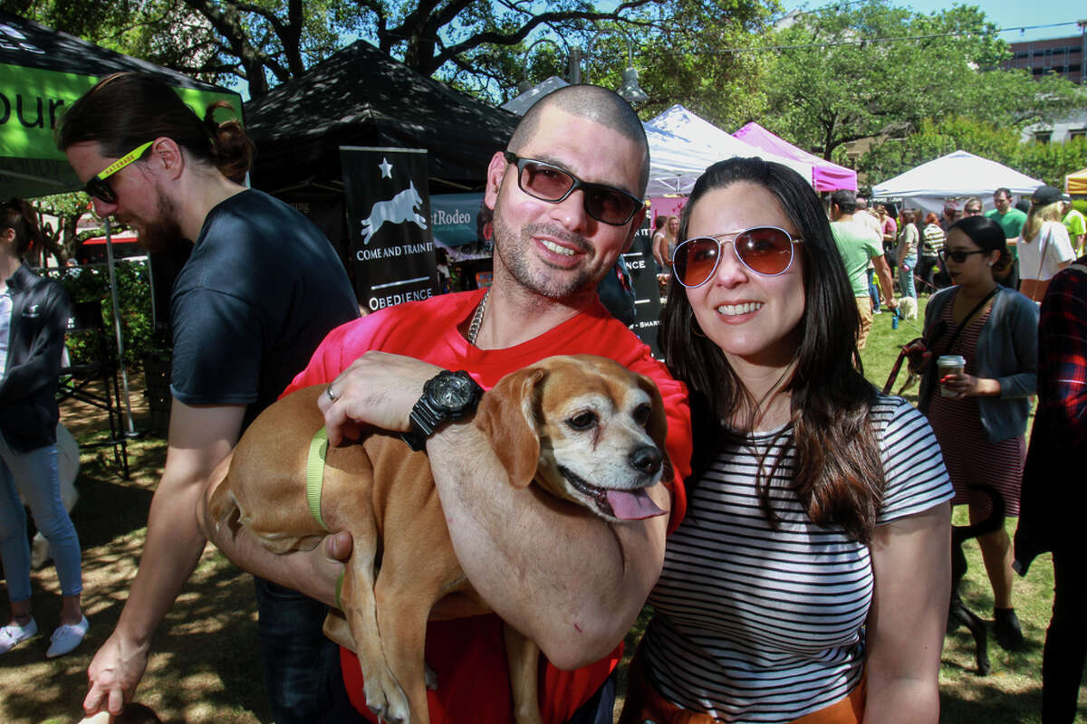 Houston dog lovers are in for a real treat next year when a new dog festival toting itself as the "Disneyland for Dogs" makes its way to the Bayou City. (File photo is from an unrelated event.)