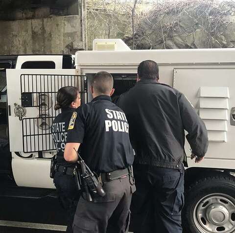 Police Rescue Injured Dog From Danbury Highway Sfgate