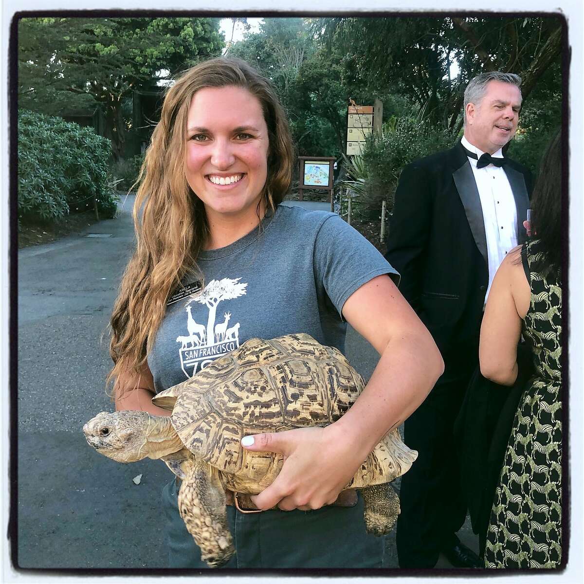 Zoo Educational Specialist Kaela Schnitzler with Bump 'n' Run, a Leopard tortoise. April 12, 2019