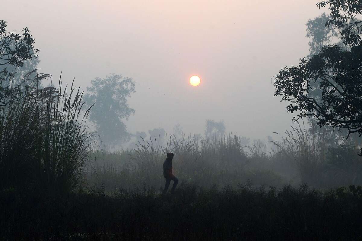 TOPSHOT - In this photograph taken on December 7, 2018 an Indian labourer walks in a field of sugarcane along the Lucknow to Faizabad highway in northern Uttar Pradesh state. - India is vying to become the world's top sugar producer but for millions of sugarcane growers, life is far from sweet ahead of the country's mega-election begining in April. (Photo by SANJAY KANOJIA / AFP) / To go with INDIA-VOTE-AGRICULTURE,FOCUS by Ruchika CHITRAVANSHI (Photo credit should read SANJAY KANOJIA/AFP/Getty Images)