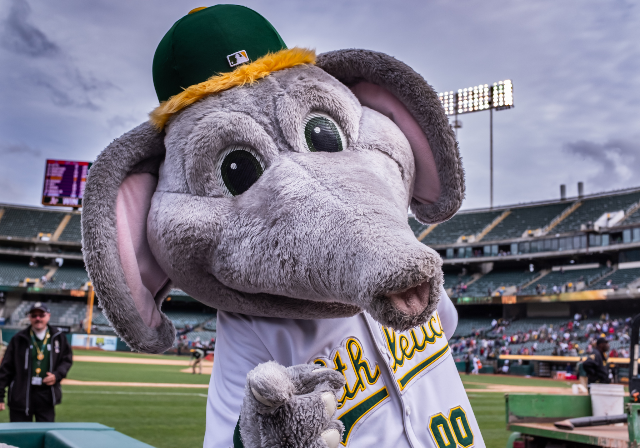 Oakland A S And Stomper Head To Sacramento To Pitch New Stadium Plan