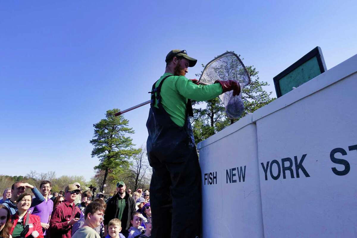 Photos State hosts family fishing festival in Albany