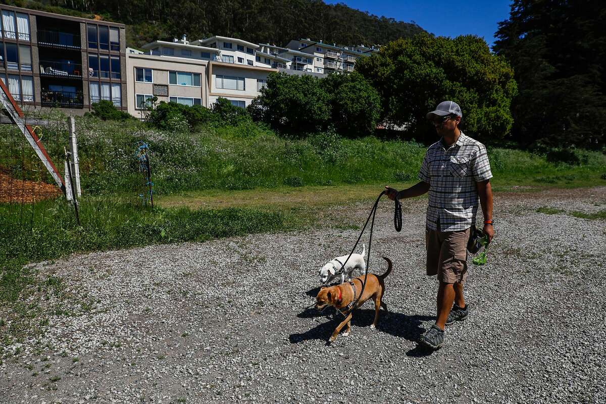 Dog walker Alexander Rejas walks dogs on an undeveloped plot of land at Warren Drive and 7th Street in San Francisco, California, on Tuesday, April 23, 2019.