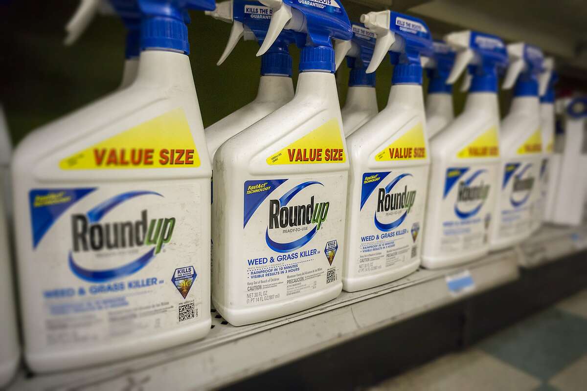 Containers of Monsanto Roundup weed killer on a garden supply store shelf in New York on May 23, 2016. (Richard B. Levine/Sipa USA/TNS)
