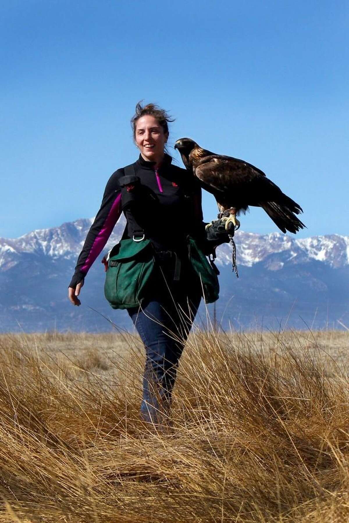 Unique wildlife experience at annual Green Chimneys event