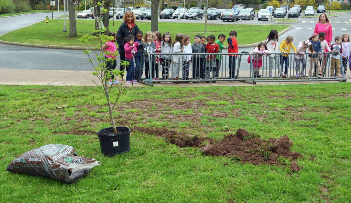 The Wesley Elementary School community planted a pink flowering dogwood tree Friday, Arbor Day, on the grounds, dedicating it to the memory of the late Lucille Ruggiero, a Middletown resident and Nutmeg Big Brothers Big Sisters Foster Grandparent Program volunteer who was a 27-year senior mentor at the school.