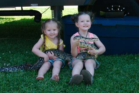 This Is Gator Country Kids Walk With Gators At Sylvan