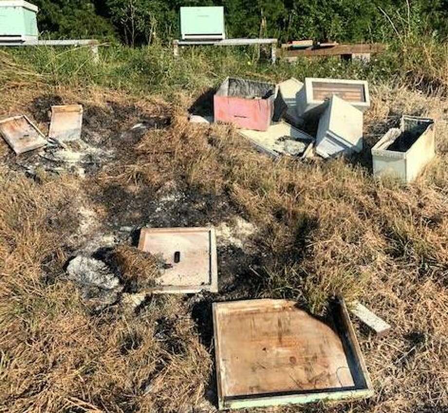 Reward Offered For Suspects Accused Of Damaging Dozens Of Beehives Setting Them On Fire Houston Chronicle