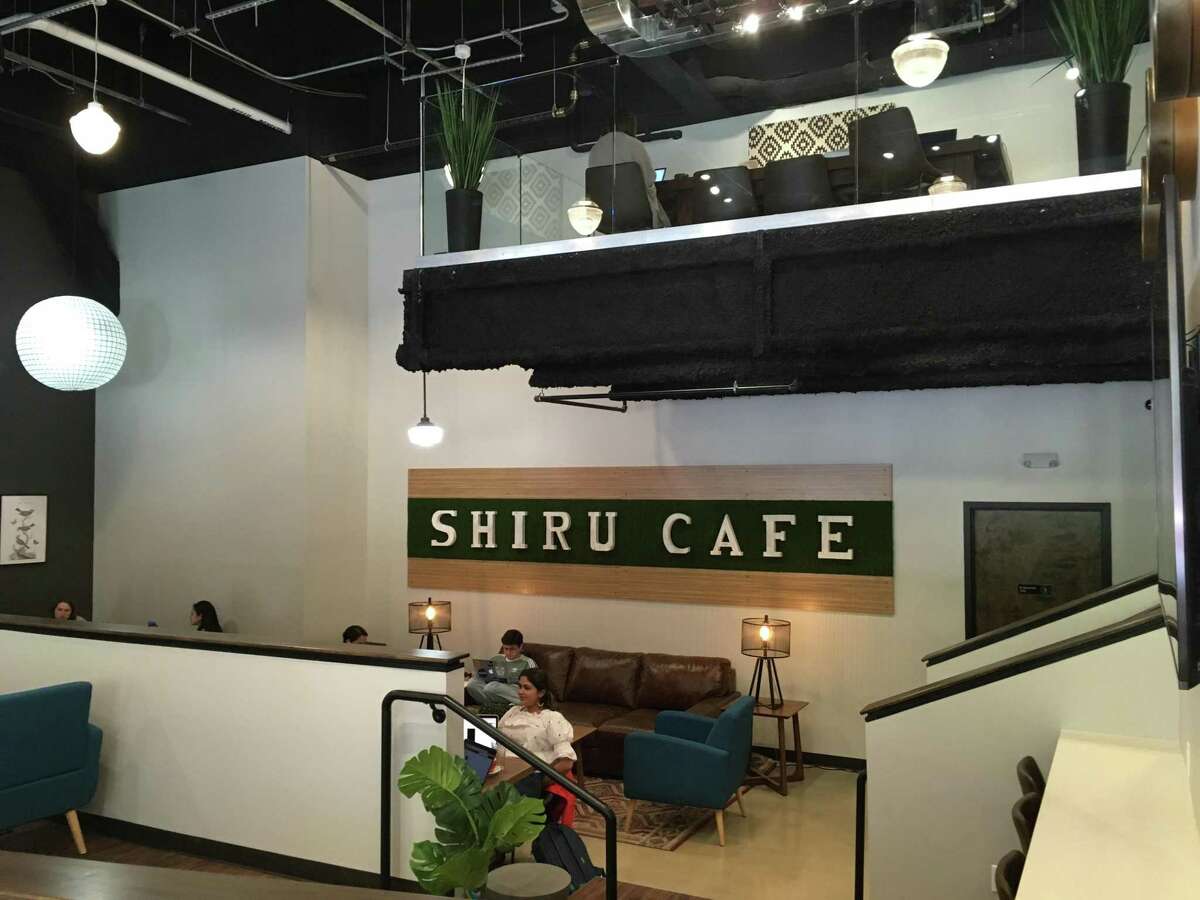 New Haven has a new coffee shop. You might not be invited