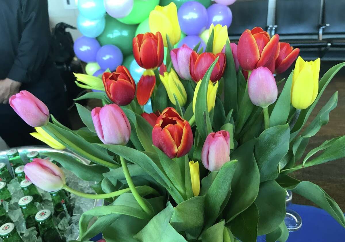 At United's inaugural SFO Amsterdam flight, there were dozens and dozens and dozens of Tulips