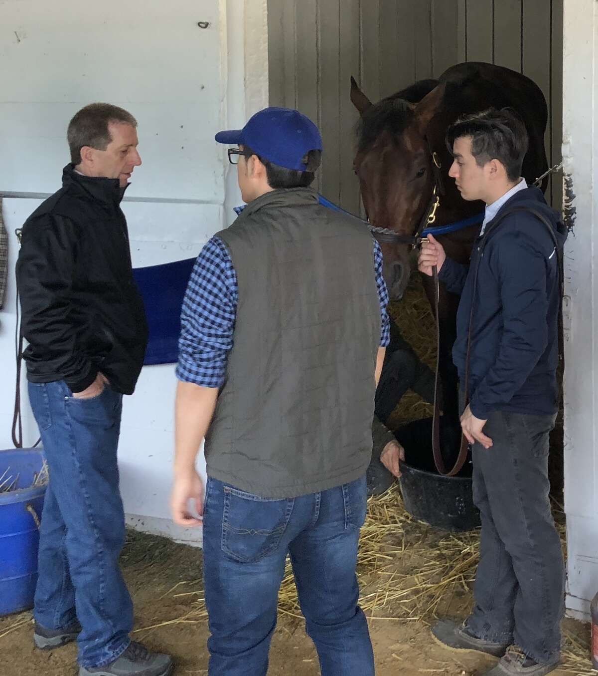 It didn't get as much attention as Omaha Beach got, but there was another horse on the Churchill Downs grounds that had his date with the Kentucky Derby thrust into a cloud of doubt. That's Haikal, the third place finisher in the Wood Memorial, standing in his stall surrounded by his handlers Thursday morning. Haikal did not train Thursday after it was found that he had an abscess in his left front foot. Trainer Kiaran McLaughlin said the colt would have the foot soaked in Epsom salts all day Thursday in hopes of curing the ailment. If you look close enough, you can see the tub of water in front of Haikal, who seems like he is a very good patient. (Tim Wilkin / Times Union)