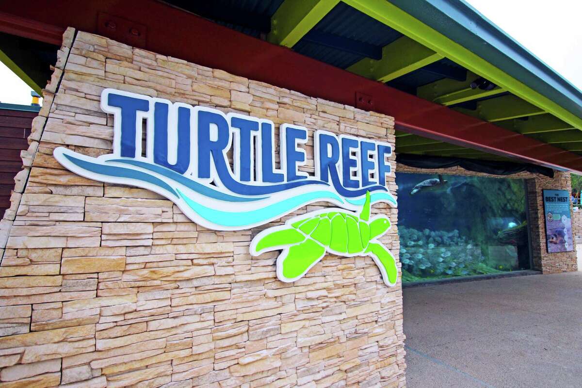 An immersive sea turtle exhibit and two new rides debut Friday, May 3, 2019 at SeaWorld San Antonio.