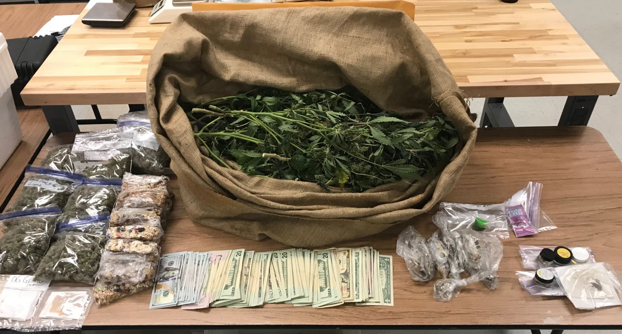 Officials seize $30K at marijuana grow house bust in Needville