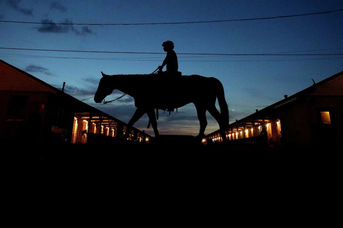 A horse is ridden to the track for a workout at Churchill Downs in 2019. The track management opposes the Horseracing Integrity Act. (AP Photo/Charlie Riedel)