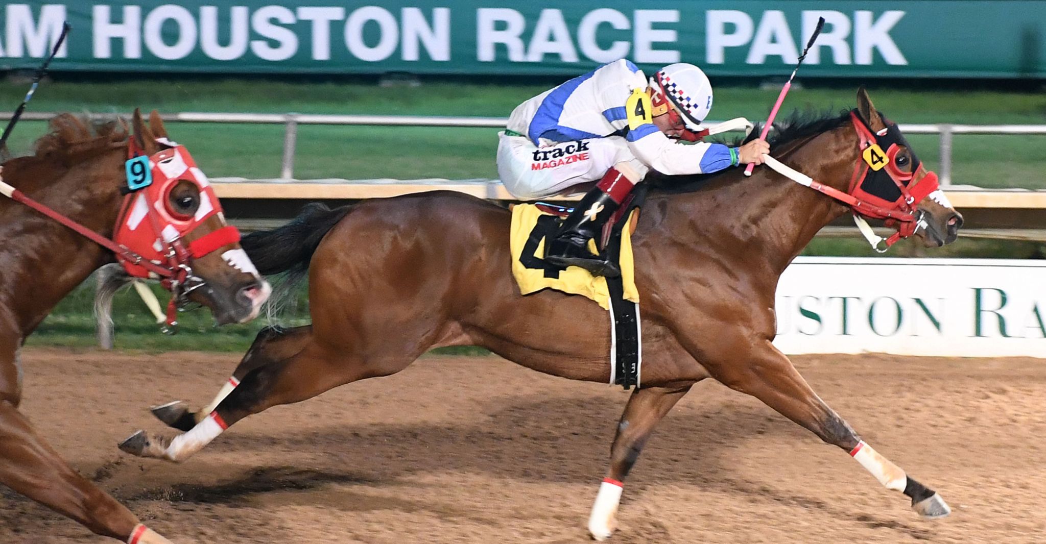 Trump My Record takes Sam Houston Futurity